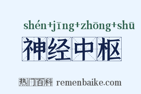 神经中枢是什么意思的图片